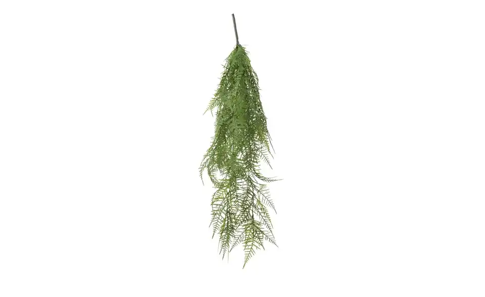 Asparagus Hänger, Frontansicht