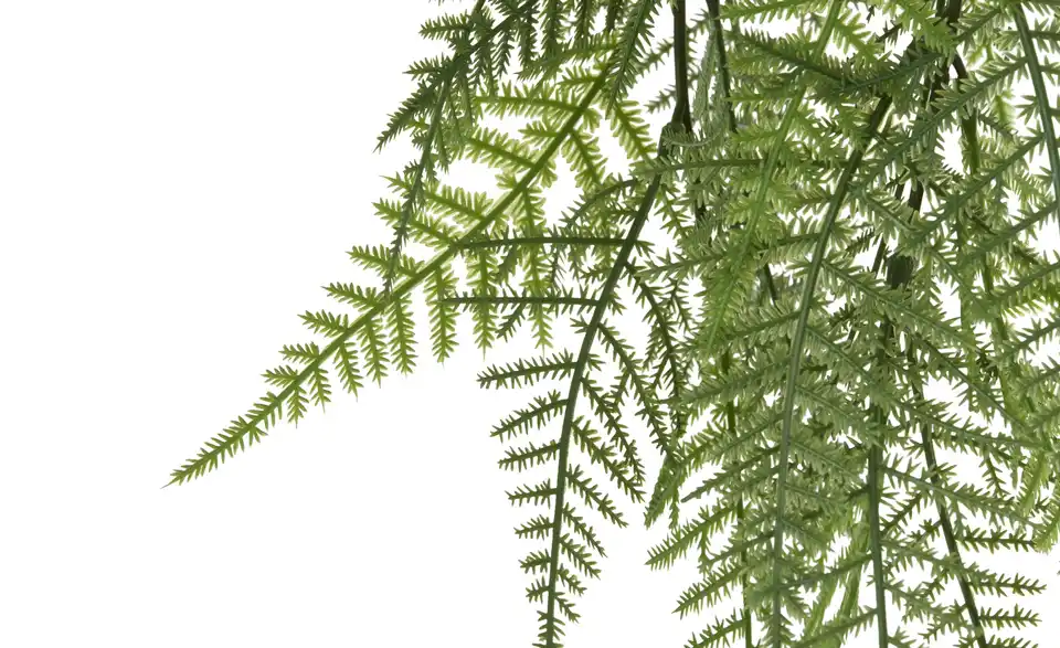 Asparagus Hänger, Detailansicht
