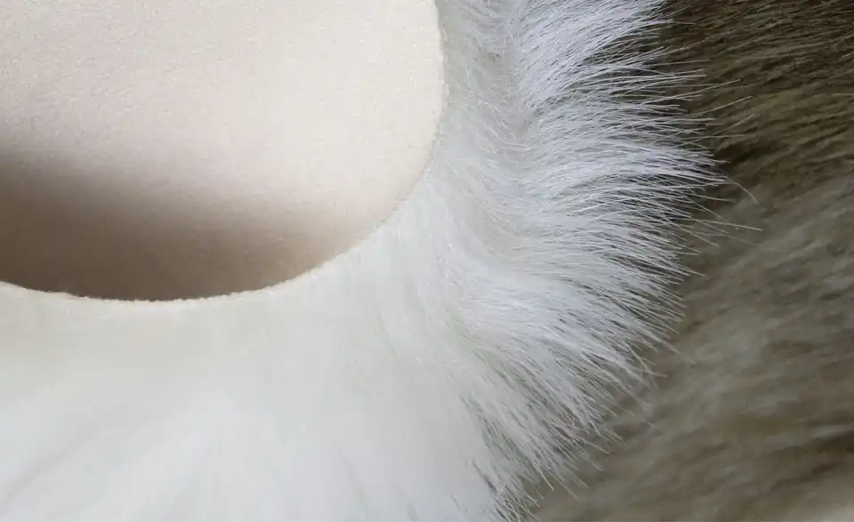 levelone Kunstfell, Detailansicht