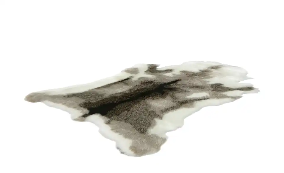 levelone Kunstfell, Perspektive