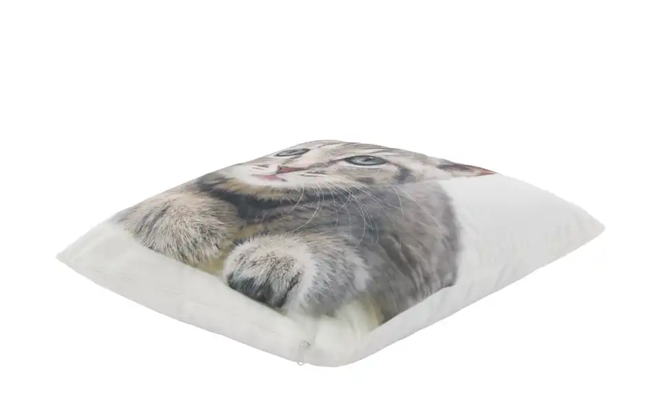 como Kissen Kätzchen, Perspektive