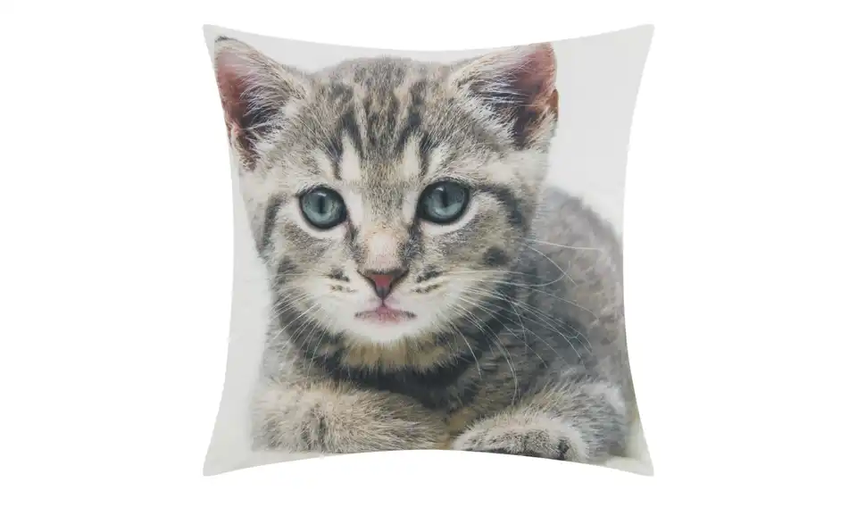 como Kissen Kätzchen, Frontansicht