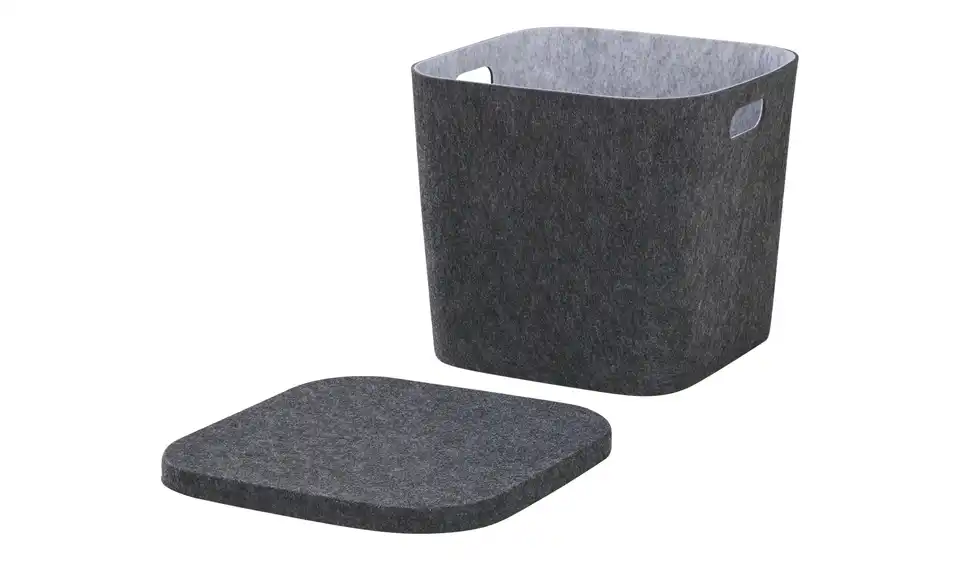 Aufbewahrungsbox mit Deckel, geöffnet