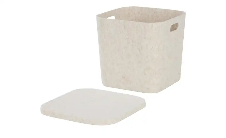 Aufbewahrungsbox mit Deckel, geöffnet