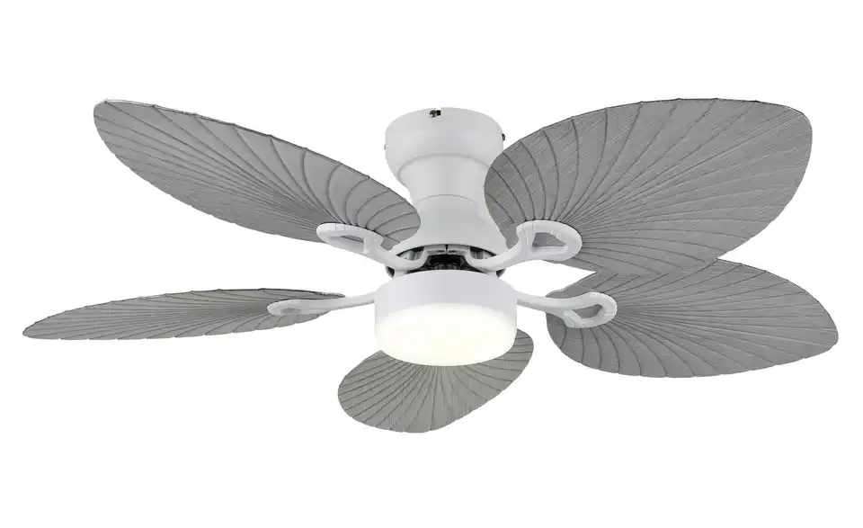 Globo Lighting Deckenventilator, Frontansicht