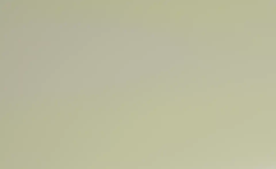 Primo Bartisch Dave, Detailansicht