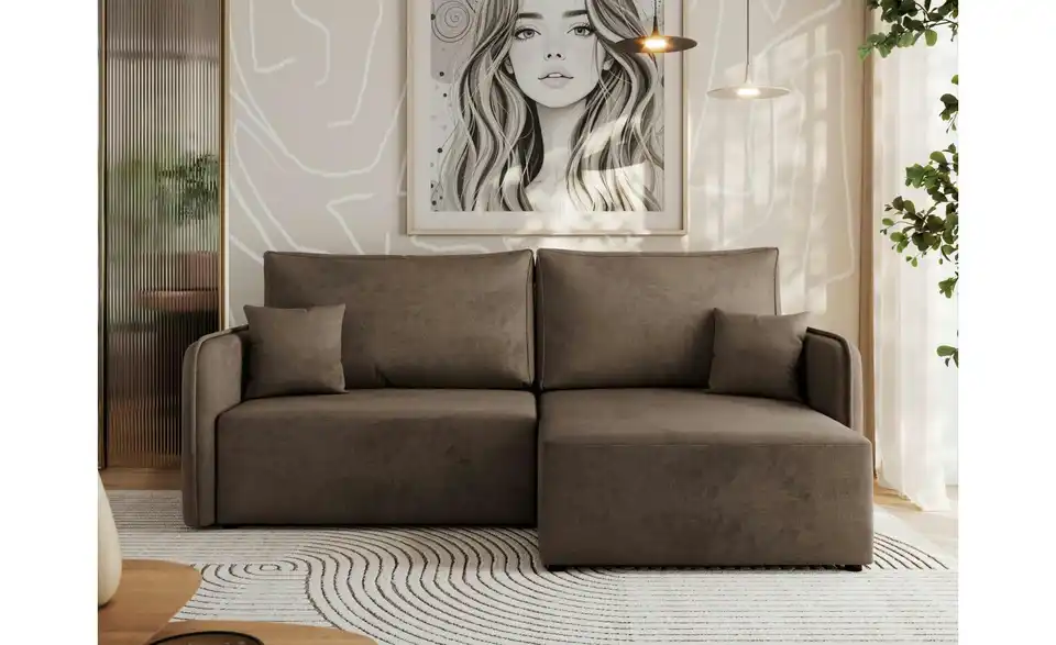 Ecksofa Braun, in Wohnsituation