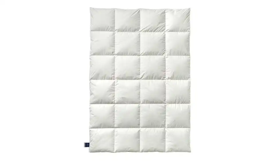 Billerbeck Kassettendecke IV Belja 2.0 Edition, Frontansicht