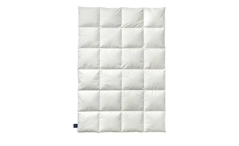 Billerbeck Kassettendecke VI Belja 2.0 Edition, Frontansicht