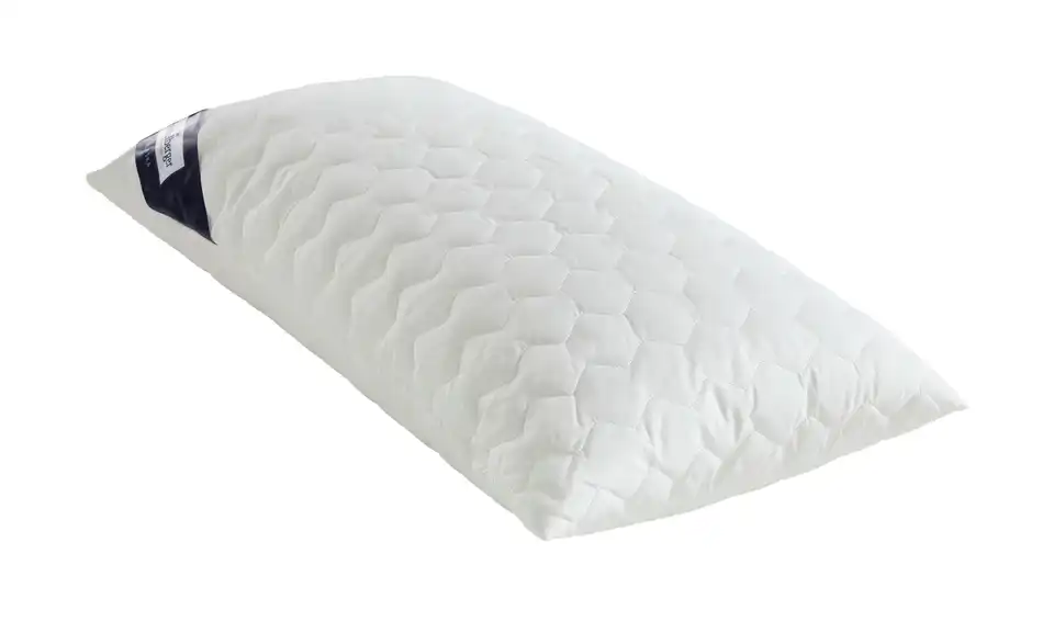 Heidelberger Bettwaren Kopfkissen Alaska, Perspektive