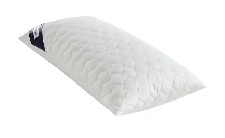 Heidelberger Bettwaren Kopfkissen Alaska, Perspektive