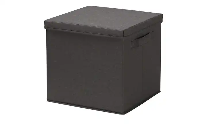 Aufbewahrungsbox mit Deckel | Schwarz - Bei Mbel Kraft online kaufen