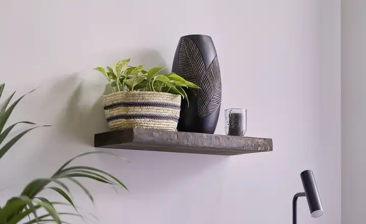 Wandboard mit Baumkante 