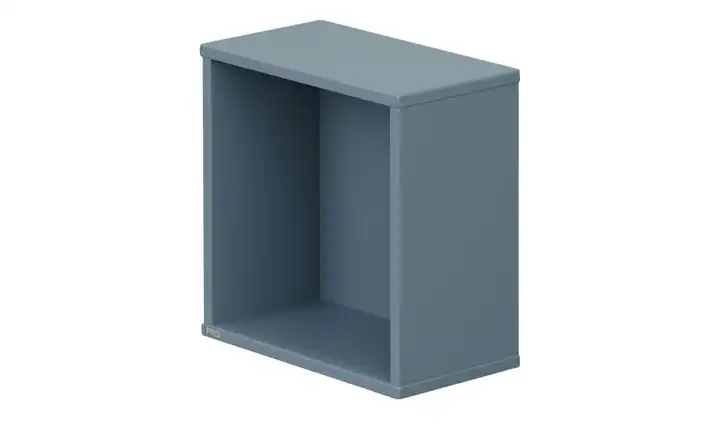 PAIDI Wandbox  Olli