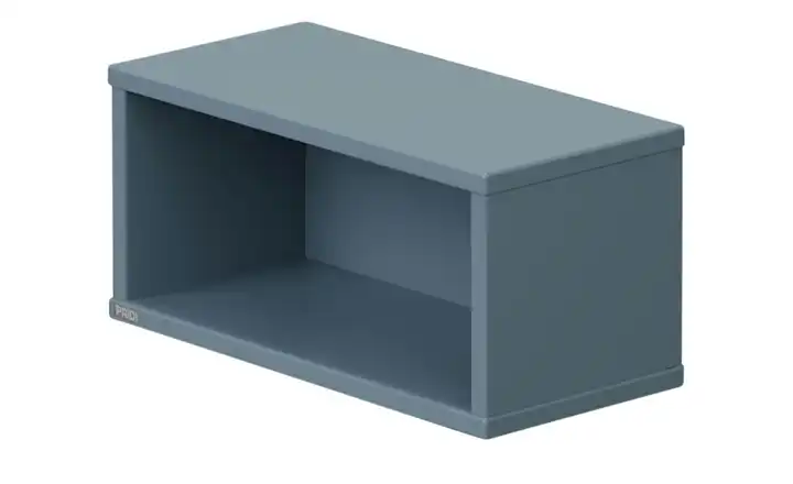 PAIDI Wandbox  Olli