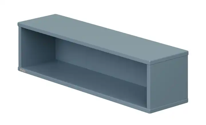 PAIDI Wandbox  Olli