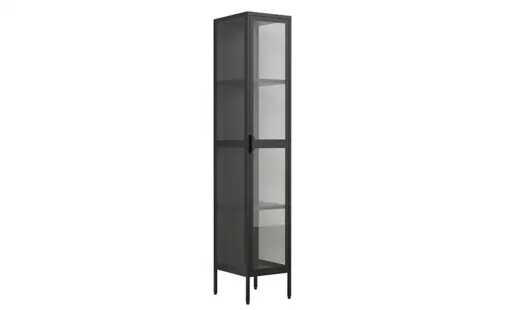 Standvitrine 160 cm 30 cm Schwarz 1 Stück