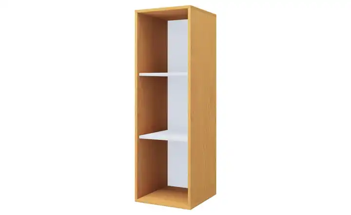Regal Buche (Nachbildung)