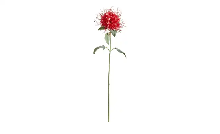  Kunstblume Monarda  