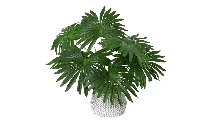  Palme getopft  