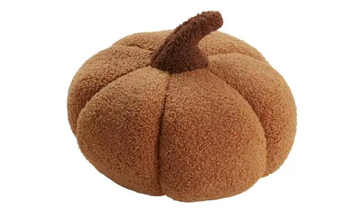  Kissen  Kürbis