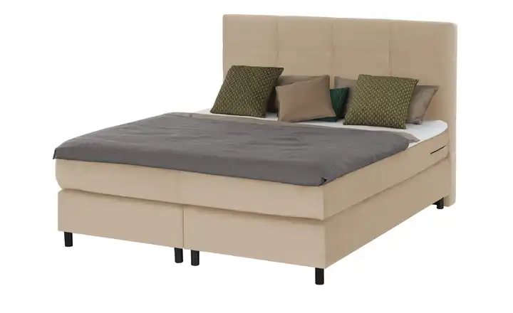 Primo Boxspringbett 160 cm H3 Beige Kaltschaumkern ohne Bettkasten