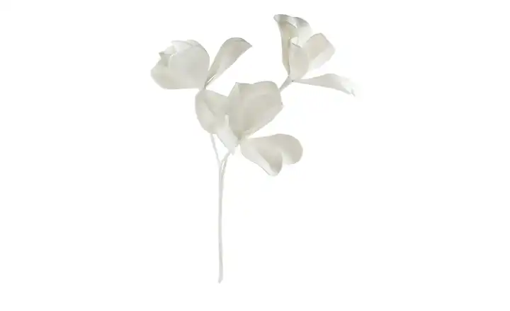  Soft Flower Magnolie 