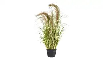 Kunstgras mit Naturwedel