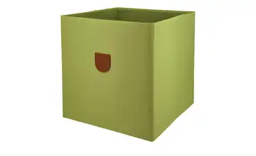 Aufbewahrungsbox Grün