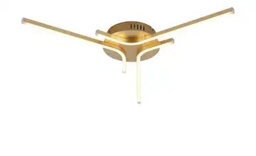 Paul Neuhaus LED-Deckenleuchte, 3-flammig, goldfarben