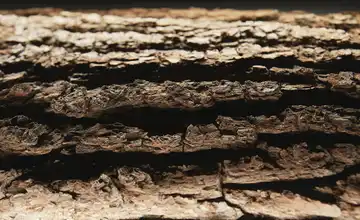 HARTMANN LED-Beleuchtung  Runa