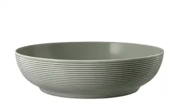 Seltmann Weiden Foodbowl Beat Perlgrau 25 cm