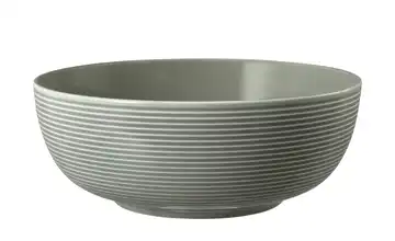 Seltmann Weiden Foodbowl Beat Perlgrau 20 cm