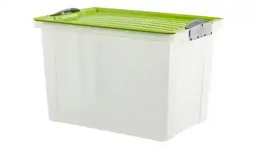 Rotho Aufbewahrungsbox mit Deckel