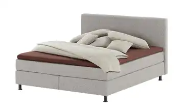 Wohnwert Boxspringbett Dormian Boro 160 cm H3 & H4 Hellgrau