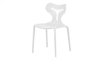 connubia calligaris Stuhl