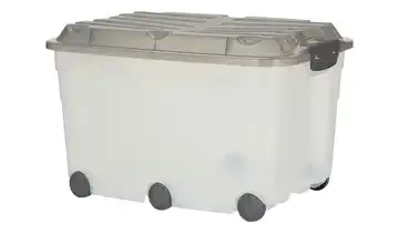 Rotho Rollbox mit Deckel Aufbewahrungsbox Grau / transparent / Anthrazit