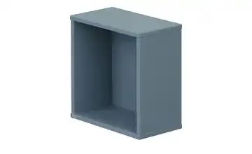 PAIDI Wandbox Olli