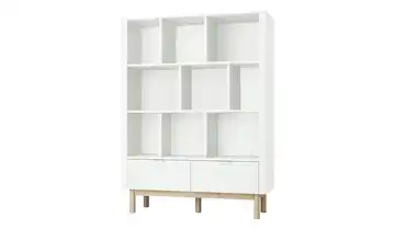 pinio Regal  