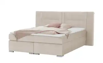 Primo Boxspringbett Creme 140 cm H2 Mikrofaser in Samt-Optik