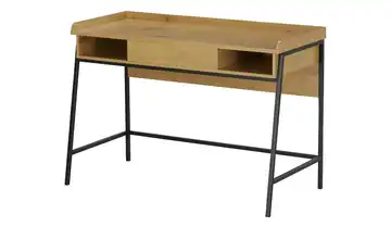 Schreib- und Stehtisch  