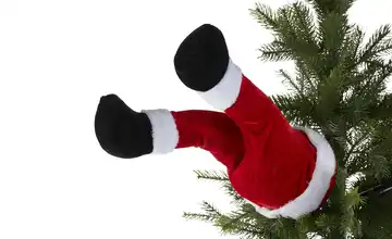 Santabeine für Tannenbaum