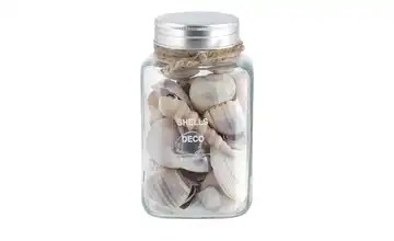 HOME STORY Muschelmix im Glas Grau, Creme