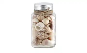 Muschelmix im Glas Beige, Braun