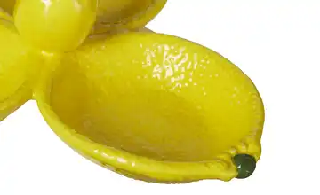 Schale Zitrone