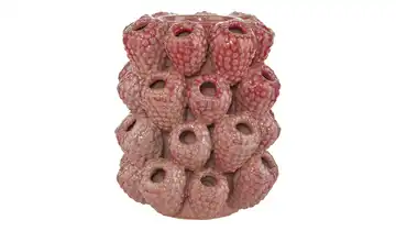 HOME STORY 3D Himbeeren Vase  
