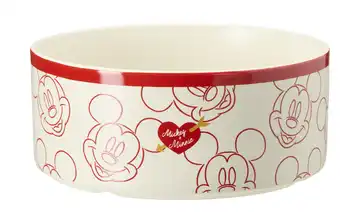 Disney Schale Disney
