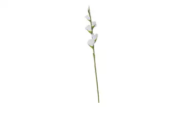 Kunstblume  Gladiole Weiß