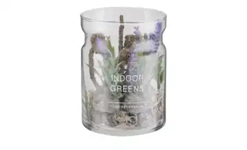 HOME STORY Lavendel im Glas