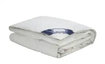 Heidelberger Bettwaren Ganzjahresdecke Himalya